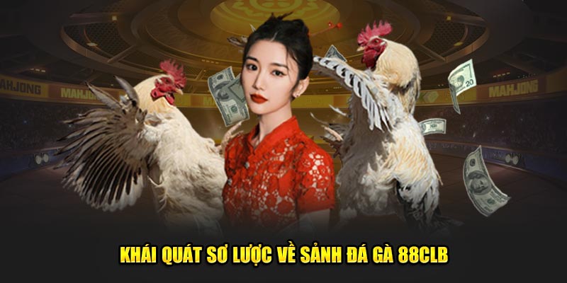 Khái quát tổng quan về sảnh đá gà 88CLB