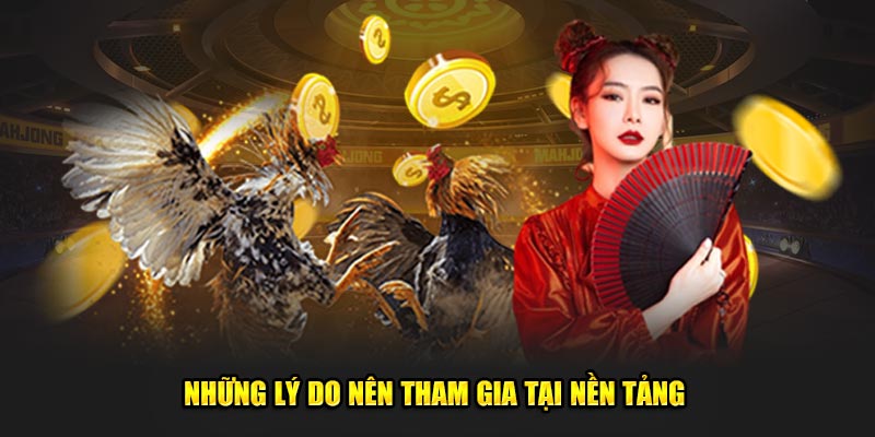 Những lý do nên tham gia tại nền tảng